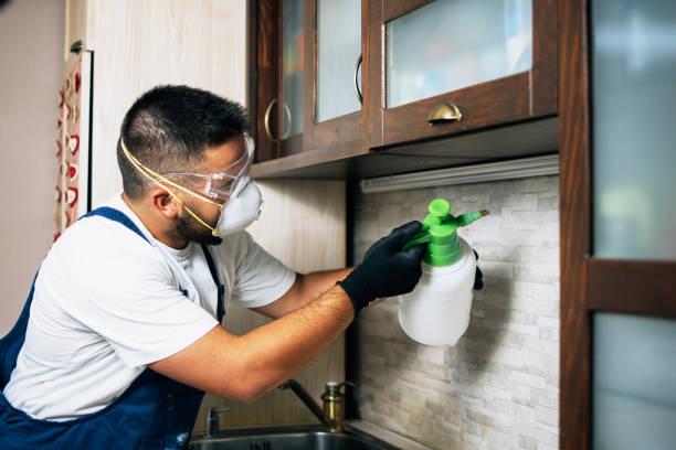 Best Pest Prevention Services  in Shannon, MS