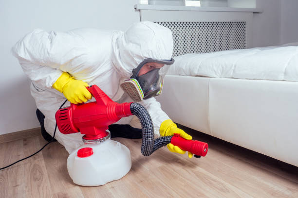 Best Mosquito Control Services  in Shannon, MS