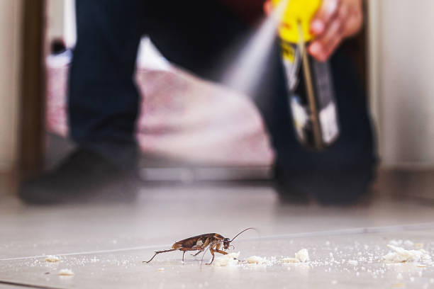 Best Termite Control Services  in Shannon, MS